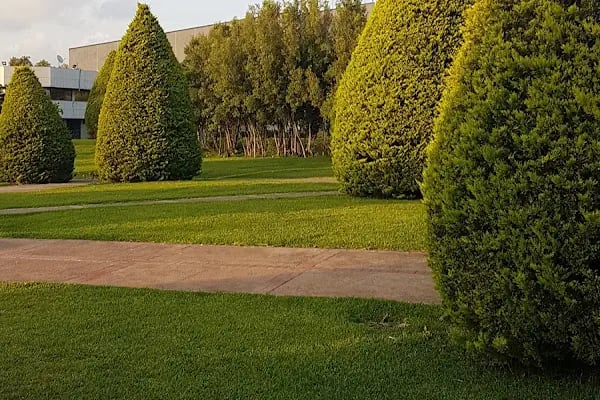 Akm Aspendos Salonu - Resim 16