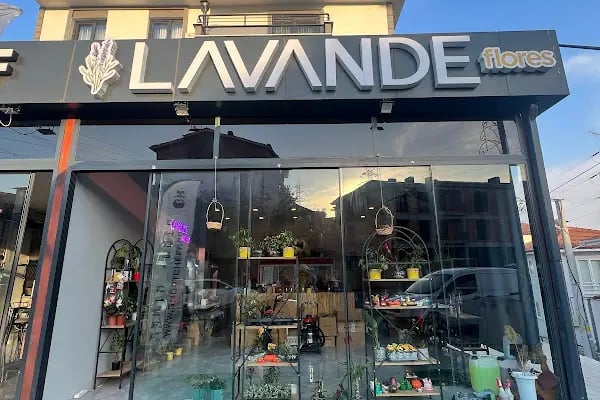Lavande | Serdivan Çiçek - Resim 2