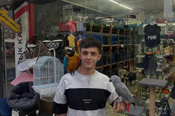 Noble Petshop ve akvaryum - Resim 18