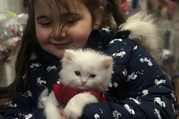 Noble Petshop ve akvaryum - Resim 14