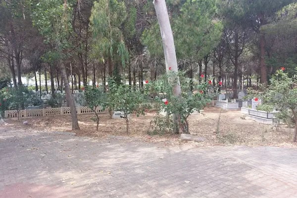Hanönü Mezarlığı - Resim 2