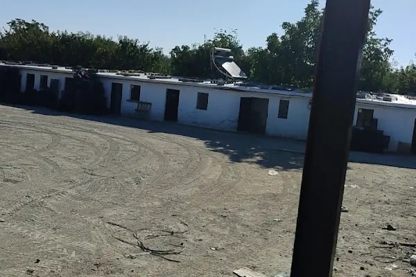 Atakent Meyve Sebze Hali - Resim 17