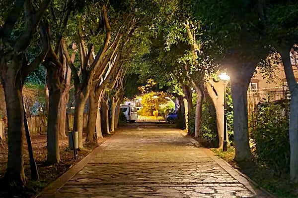 Sadullahoğlu Parkı - Resim 2
