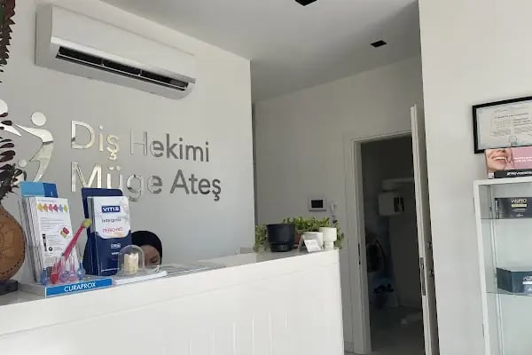Diş Hekimi Müge Tanyel - Resim 7