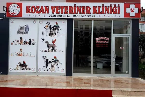 KOZAN VETERİNER KLİNİĞİ - Resim 19