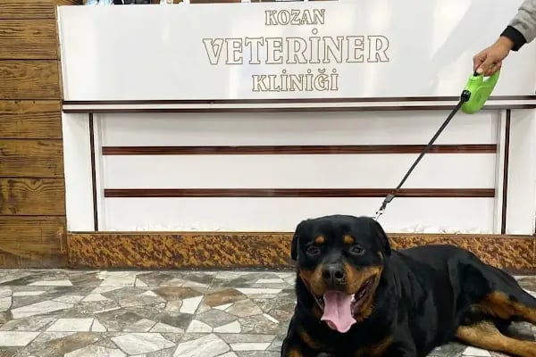 KOZAN VETERİNER KLİNİĞİ - Resim 1