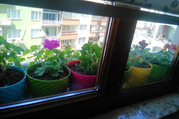 Zeynep Ticaret Hediyelik Eşya Zücaciye - Resim 8
