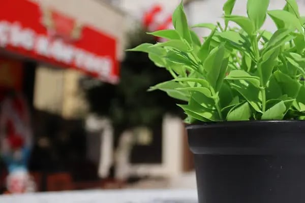 Adıyamanlı Çiğköfteci Erkan Usta Alanya - Resim 13