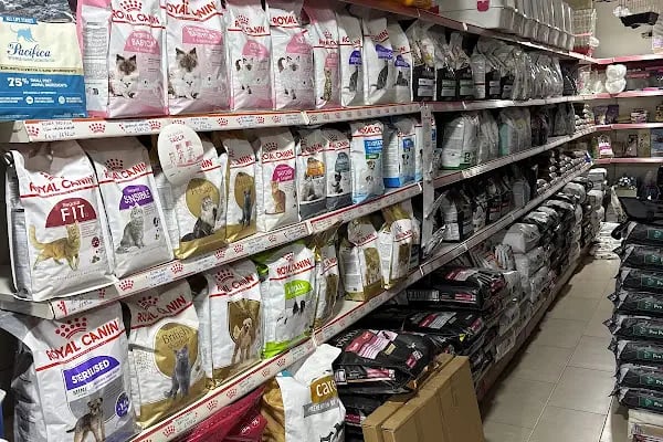 Gümbet Petshop - Resim 11