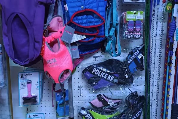 Gümbet Petshop - Resim 15