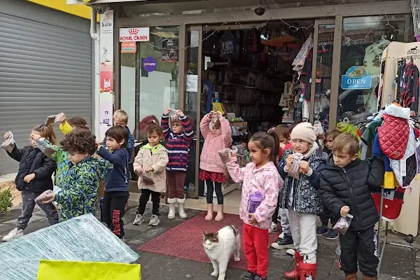 Gümbet Petshop - Resim 4