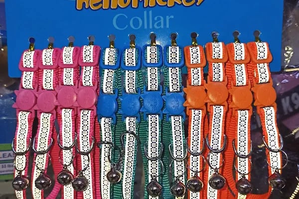 Gümbet Petshop - Resim 19