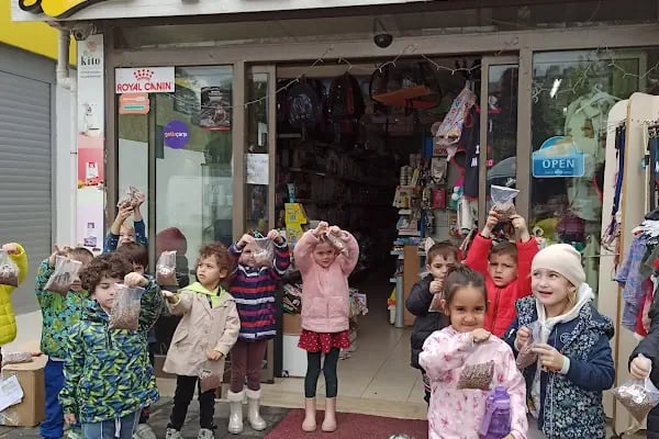 Gümbet Petshop - Resim 7
