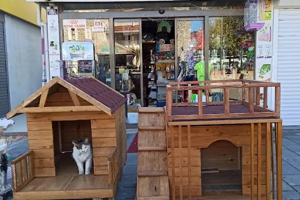Gümbet Petshop - Resim 18