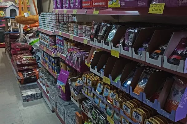 Gümbet Petshop - Resim 16