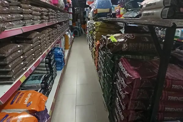 Gümbet Petshop - Resim 8