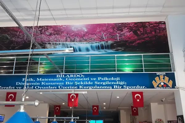 Mersi̇n Arena Bay Bayan Bilardo - Resim 6