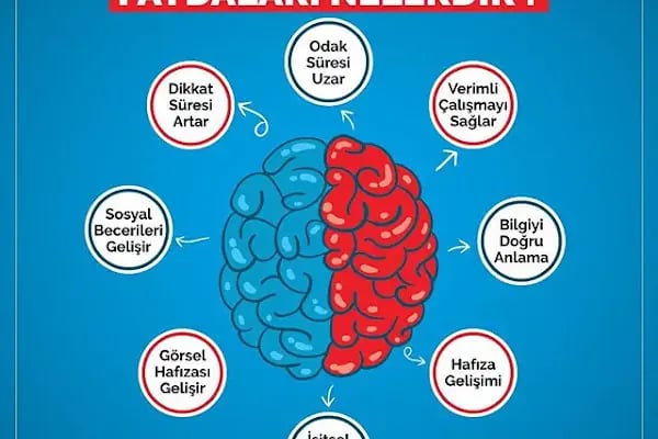 YENİ HAYAT PSİKOLOJİ - Resim 15