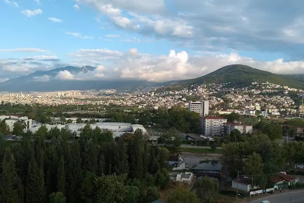 Aluçlar Zara Life - Resim 11
