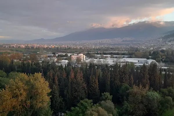 Aluçlar Zara Life - Resim 4
