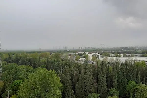 Aluçlar Zara Life - Resim 8