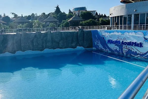 Marina Aquapark - Resim 6