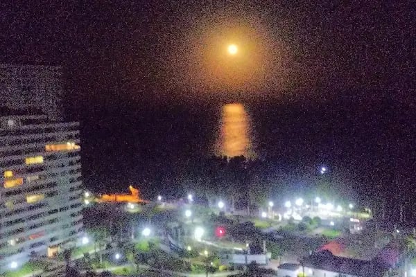 Doğan Tatil Sitesi - Resim 18