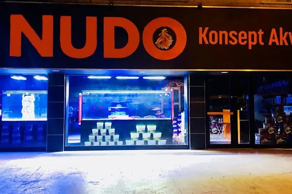 Nudo Konsept Akvaryum - Resim 2