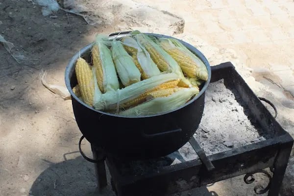 Küçük ev Gizli Vadi Camping Restaurant - Resim 11