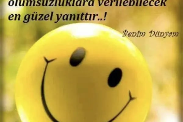 La Elite Spa “Kurtköy” - Resim 7