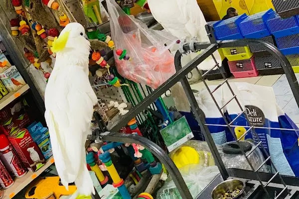 Bor Ticaret - Resim 13
