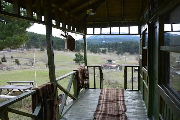 Karınca Çocuk Oyun Parkı &Cafe&Parti Evi - Resim 13