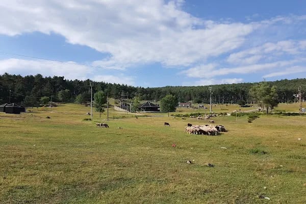 Karınca Çocuk Oyun Parkı &Cafe&Parti Evi - Resim 2