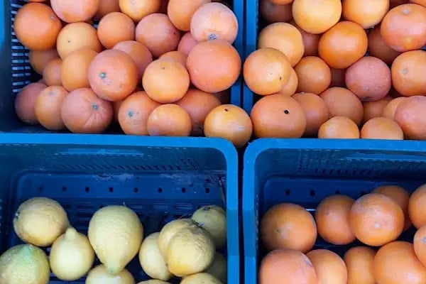 FALEZ MARKET - Resim 18