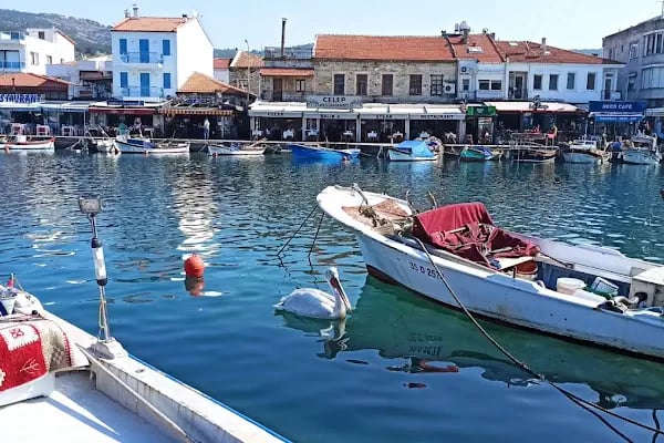 Foça Belediye Denizkent Sosyal Tesisi - Resim 16