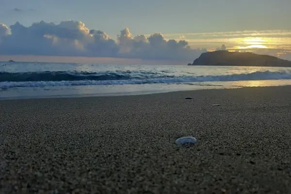 Green Garden Beach oba no 1 - Resim 10