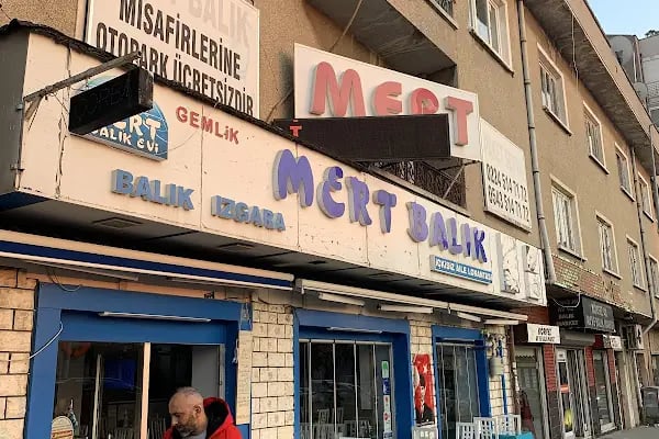 Gemlik Mert Balık - Resim 2