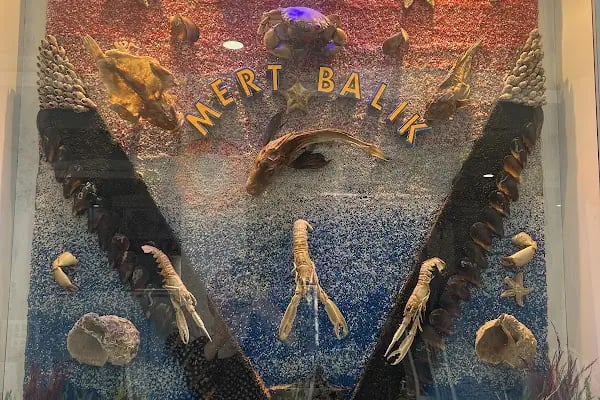 Gemlik Mert Balık - Resim 6