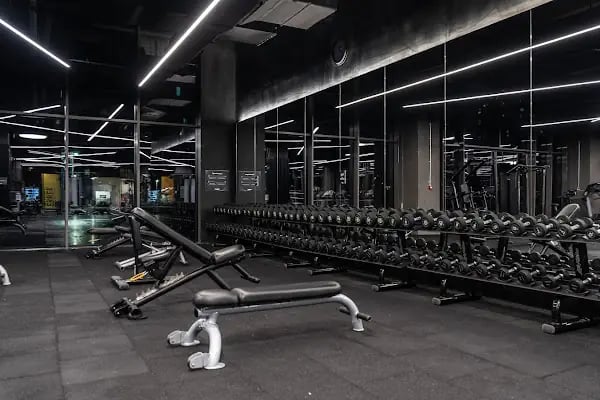 MACFit Vega - Resim 2