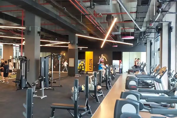 MACFit Vega - Resim 1