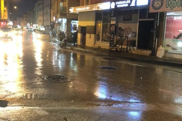 Yeğenler Veteriner Muayenehanesi - Resim 1