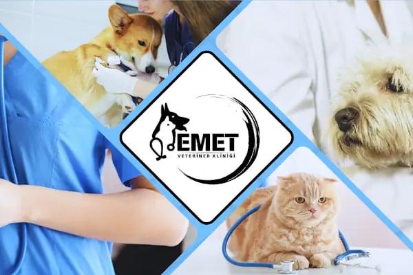 EMET VETERİNER KLİNİĞİ - Resim 4