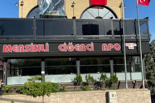 Mersinli Ciğerci Apo - Resim 2