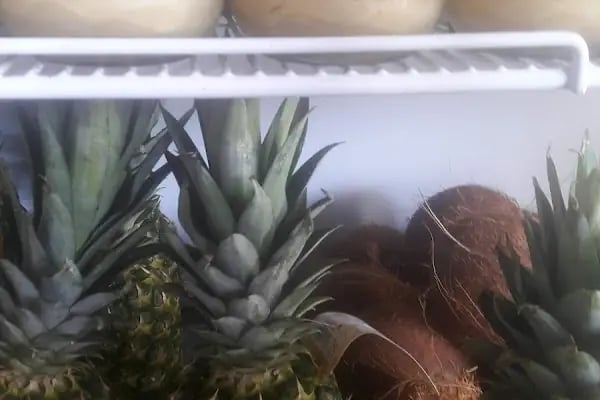 ÖZGÜR __ TiCARET (Sebze) (Meyve) Toptan Perekende Satış - Resim 12