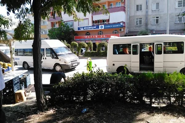 PAZAR33 AVM - Resim 3