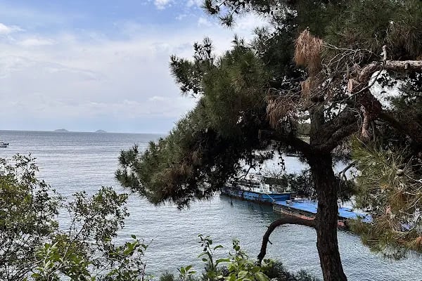büyükada glamping - Resim 12