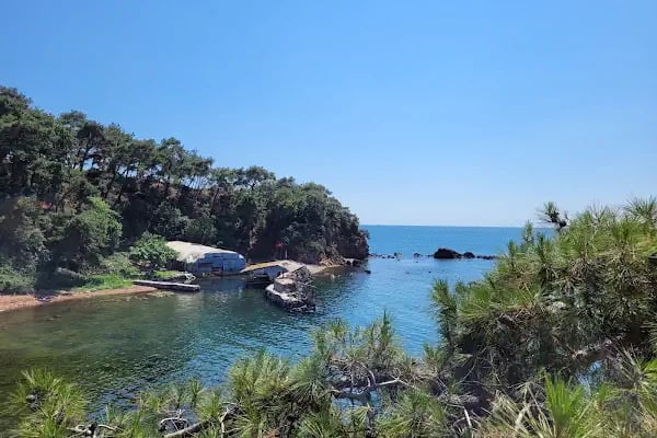 büyükada glamping - Resim 17
