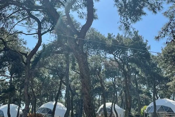 büyükada glamping - Resim 7