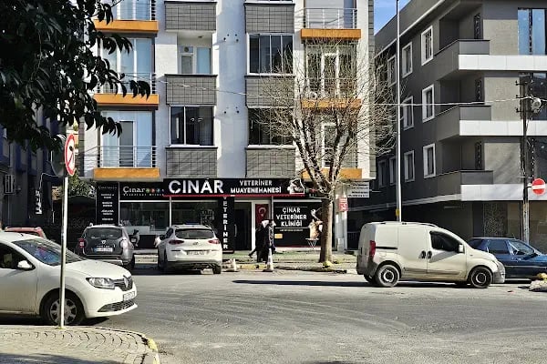 Çınar Veteriner Kliniği - Resim 6