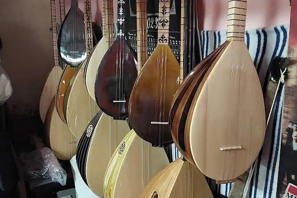 Çelik Saz Evi - Resim 2